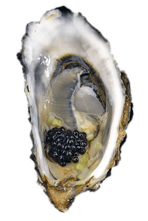 Oyster With Caviar icons