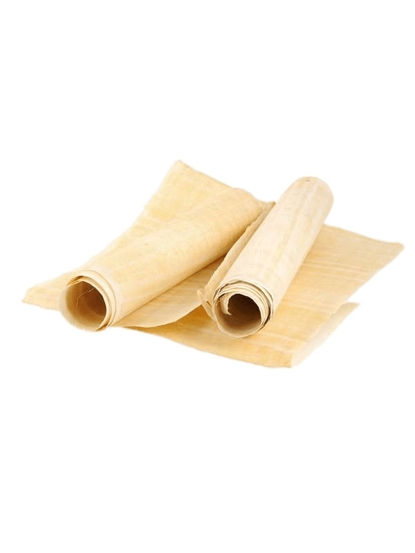 Papyrus Rolls png