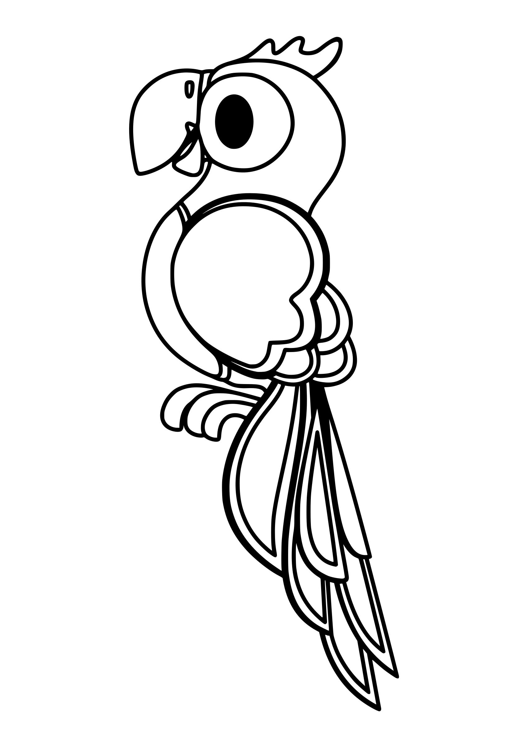 parrot colouring book remix request png