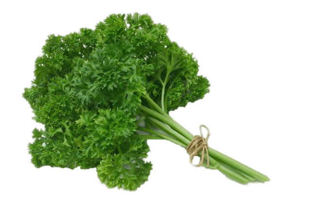 Parsley png icons