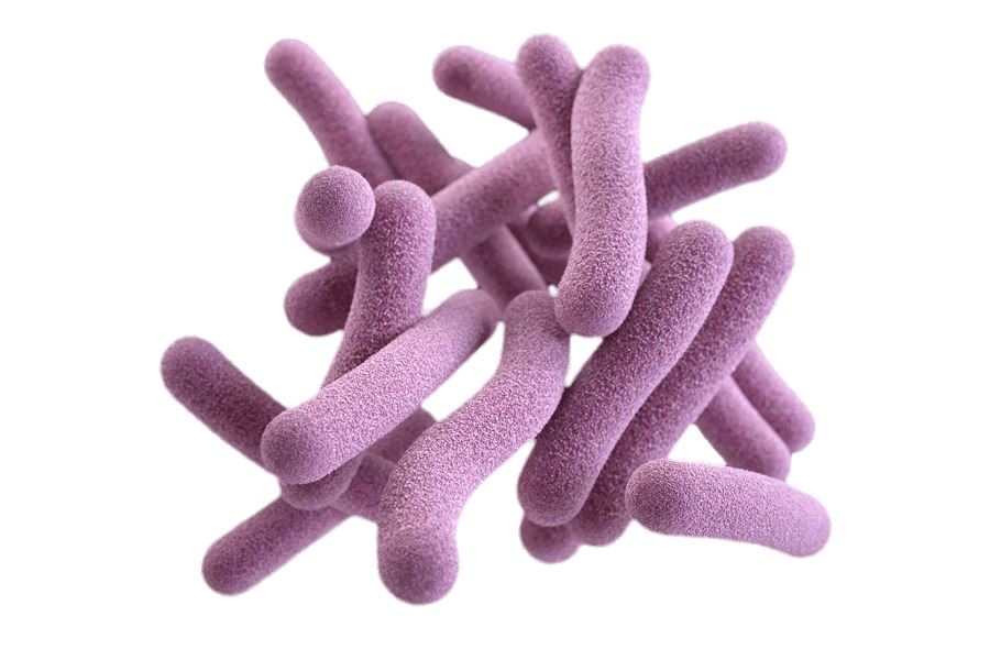 Pathogenic Bacterias icons