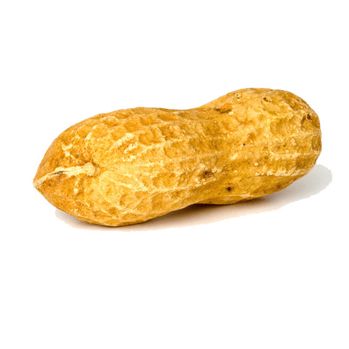 Peanut Solo png icons