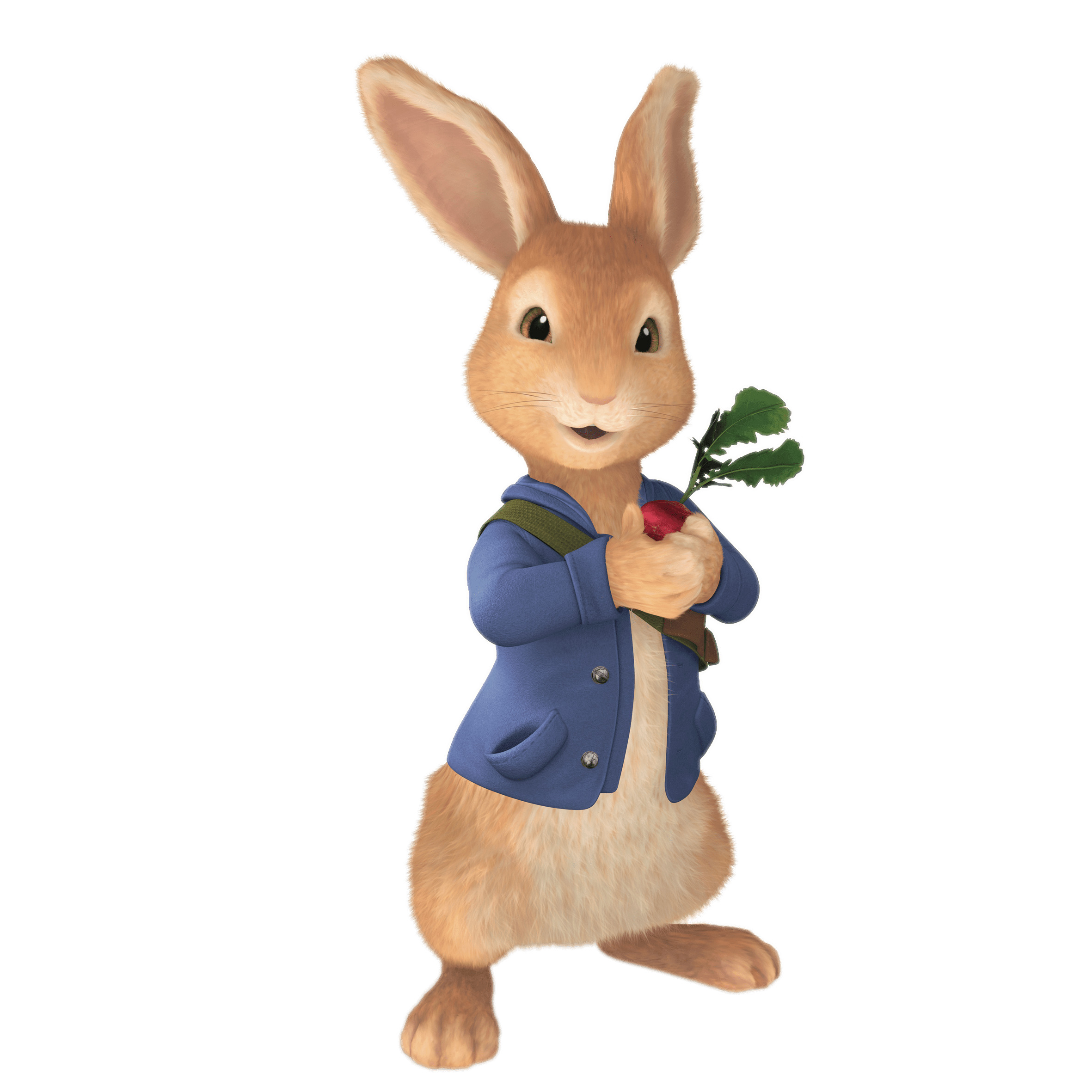 Peter Rabbit Holding Radish icons