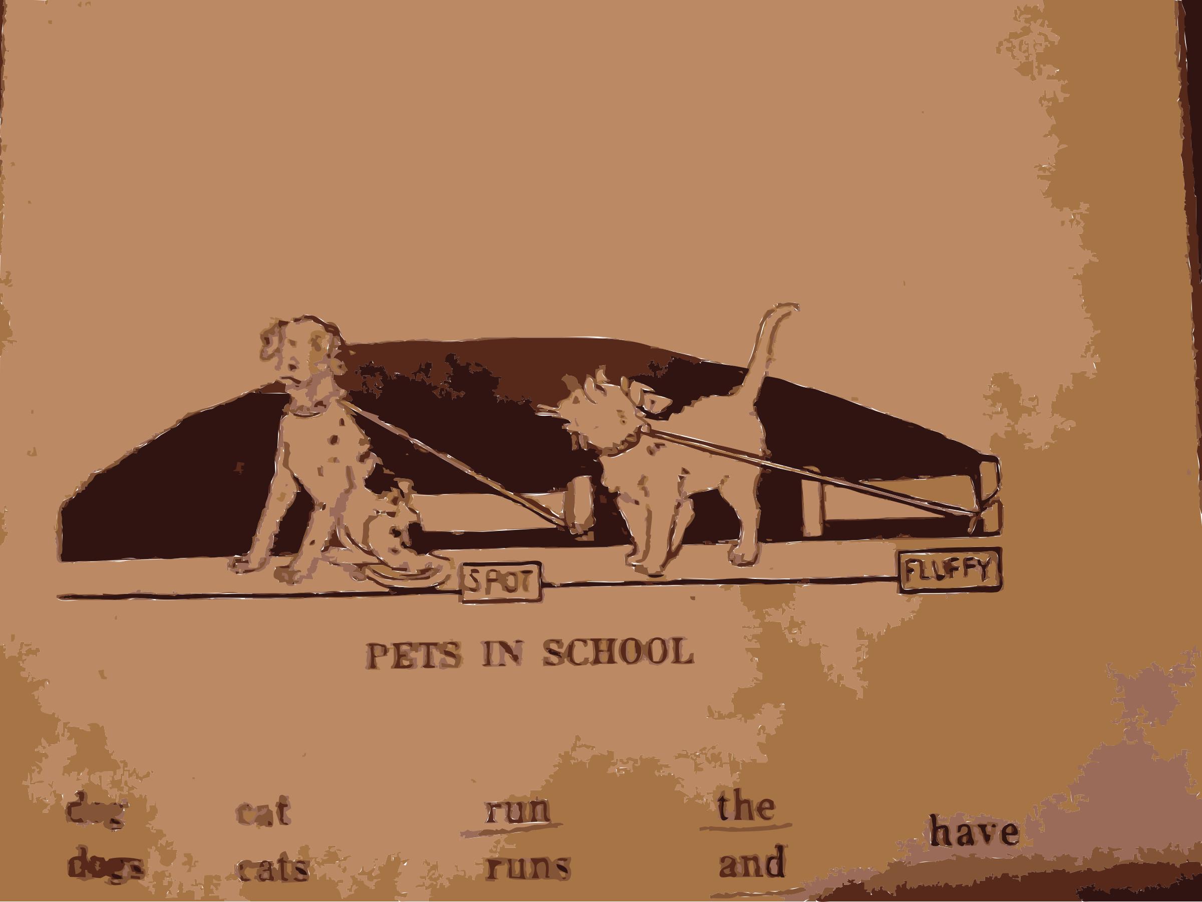 Pets in School png