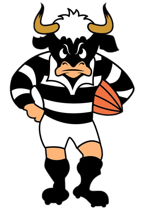 Peumaye?n Rugby Logo icons