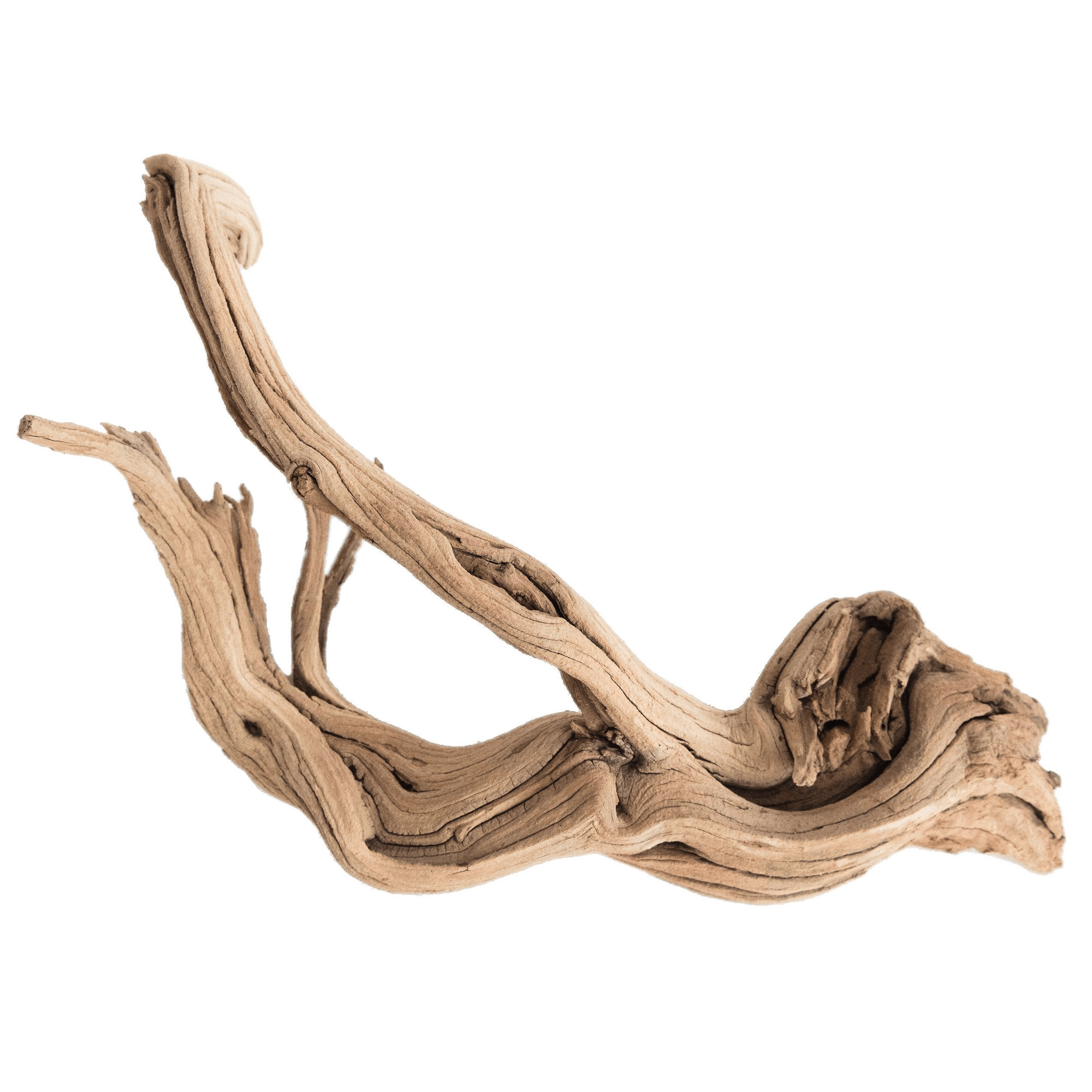Piece Of Driftwood png