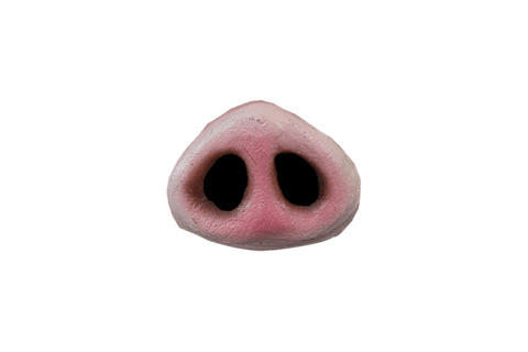Pig Nose png icons