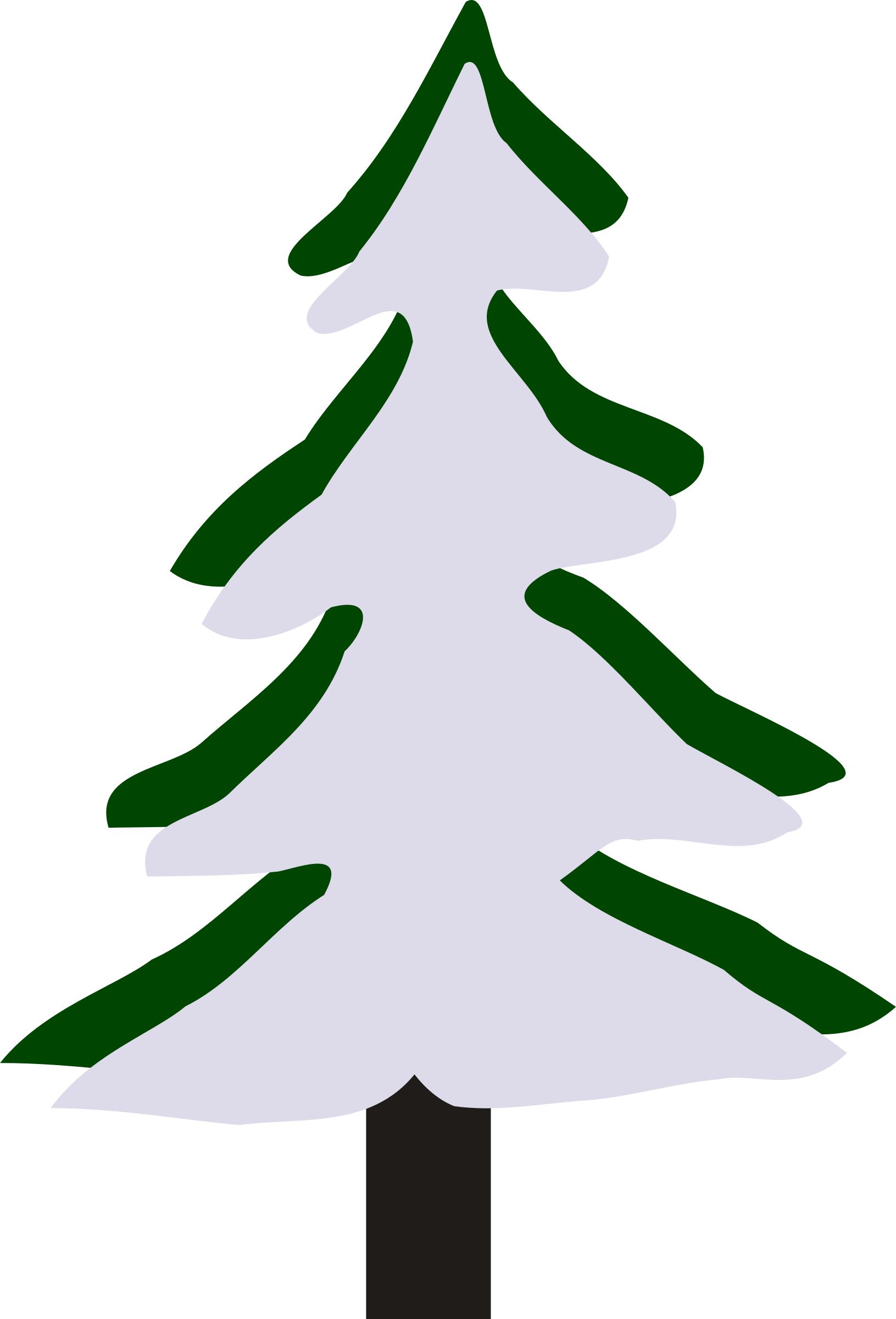 Pine in winter png