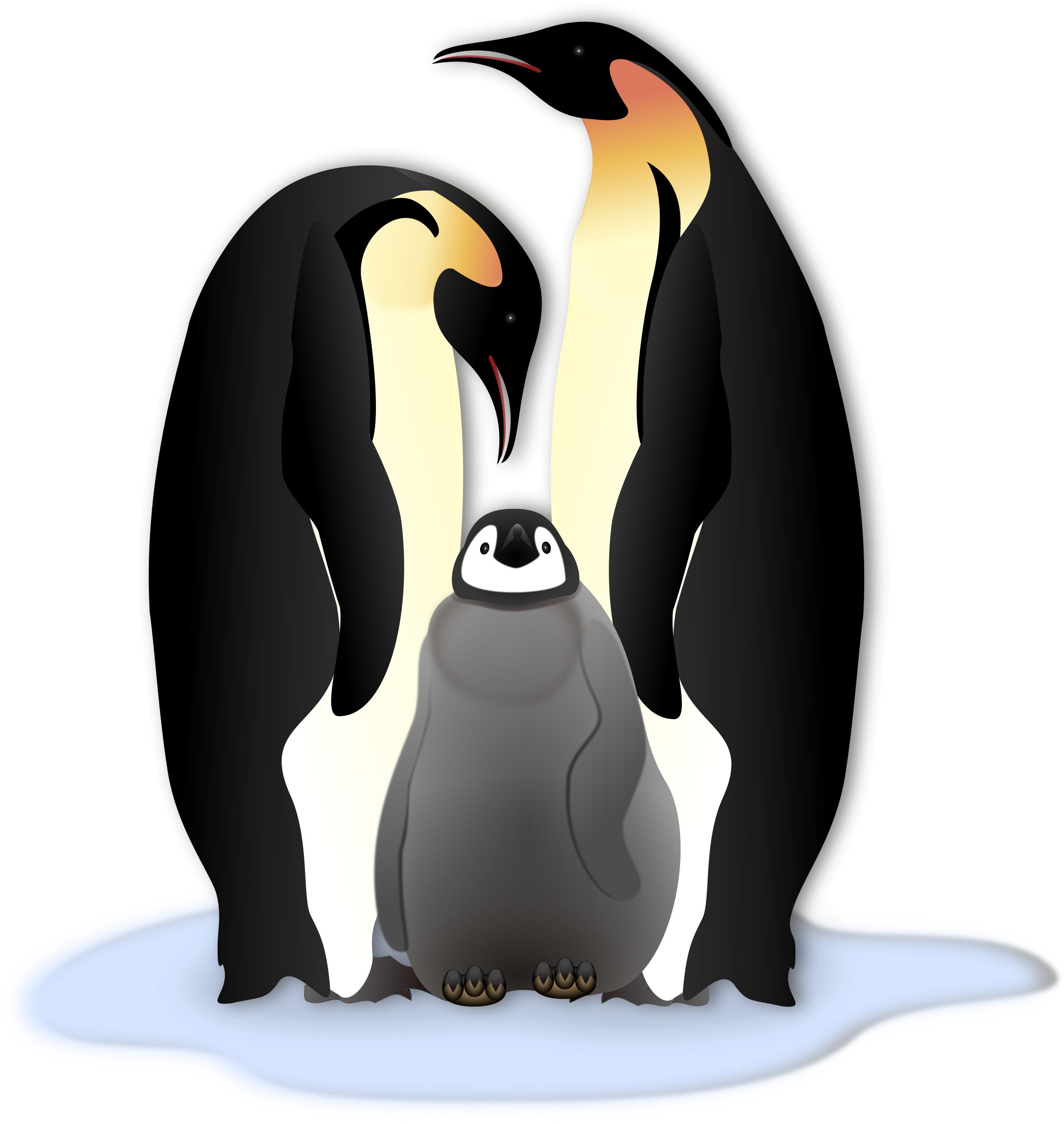 Pinguin Familie png