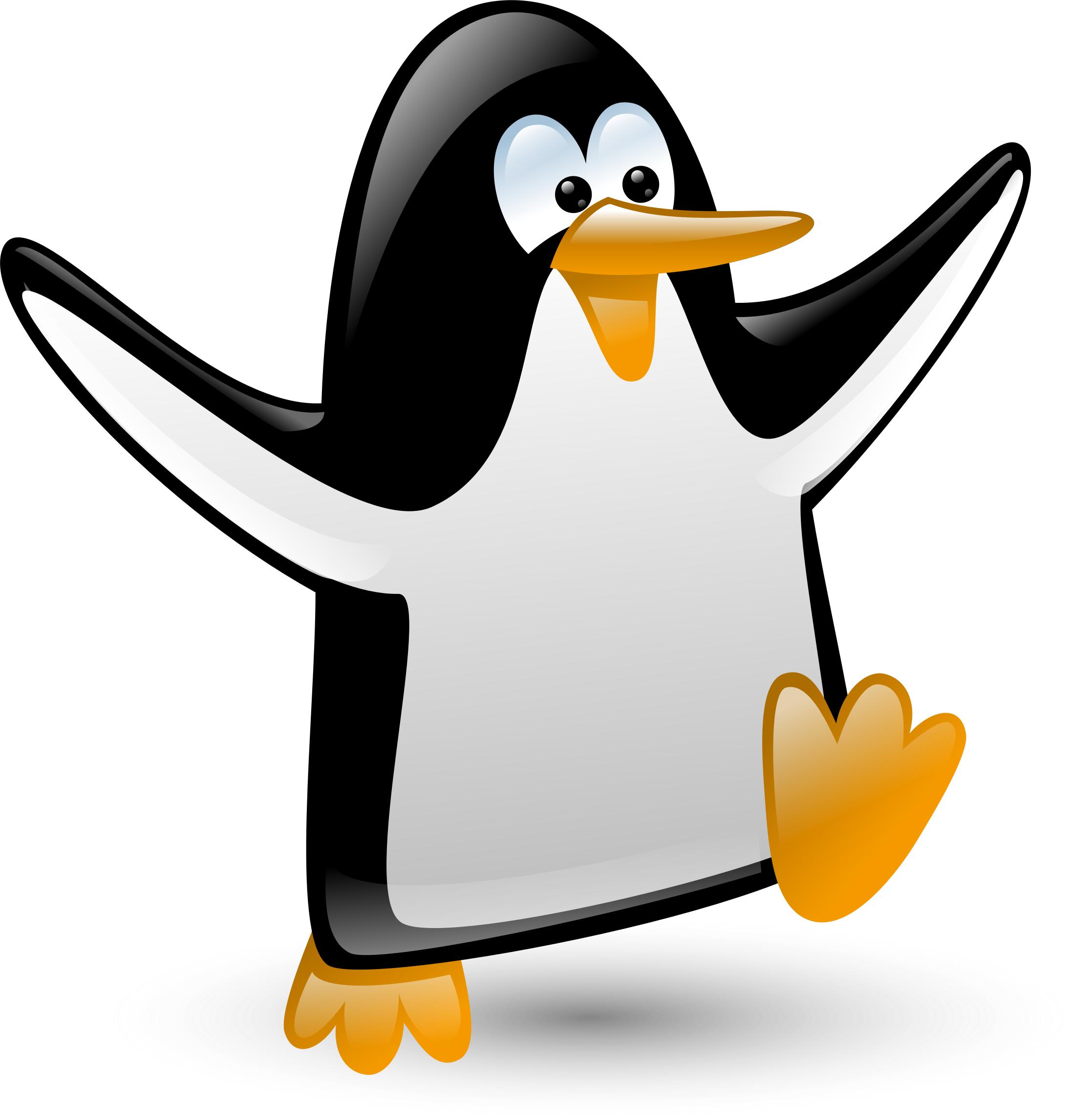 Pinguin png