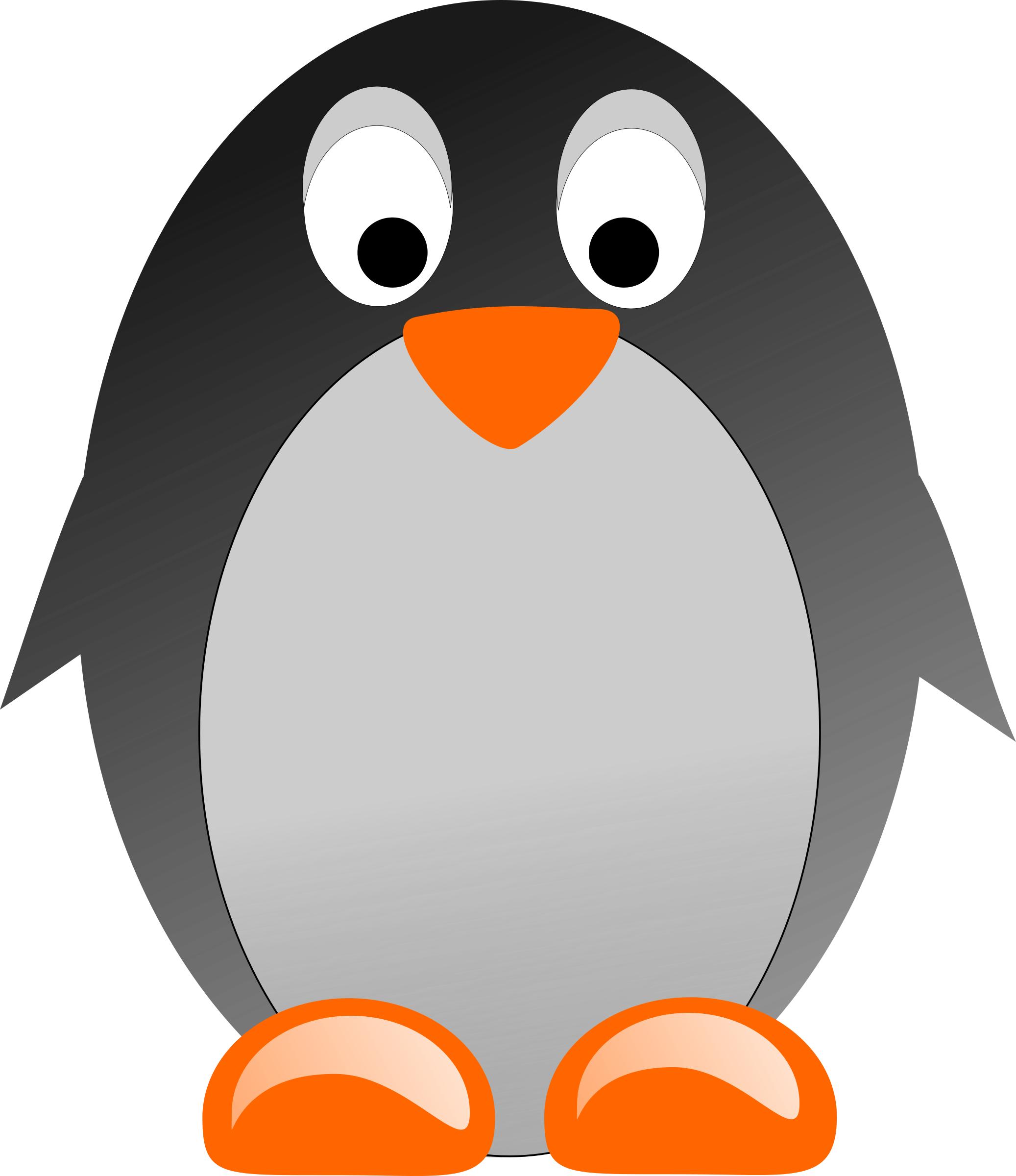 Pinguino / Penguin png