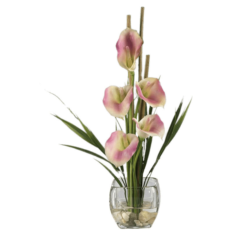 Pink Calla Lilies Composition PNG icons