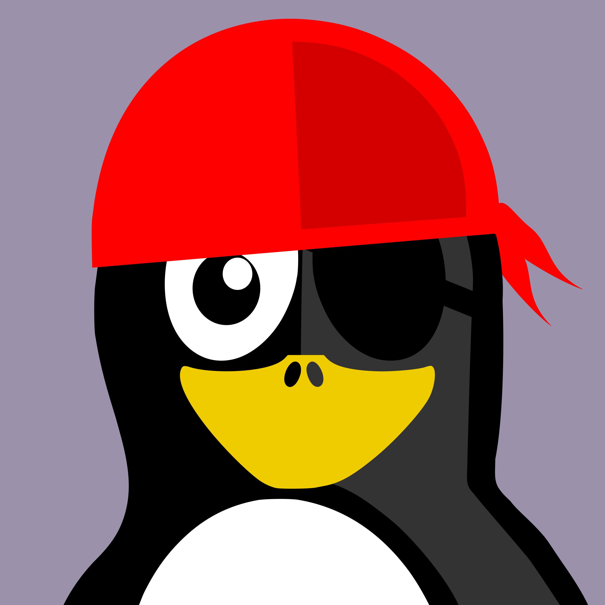 pirate penguin png