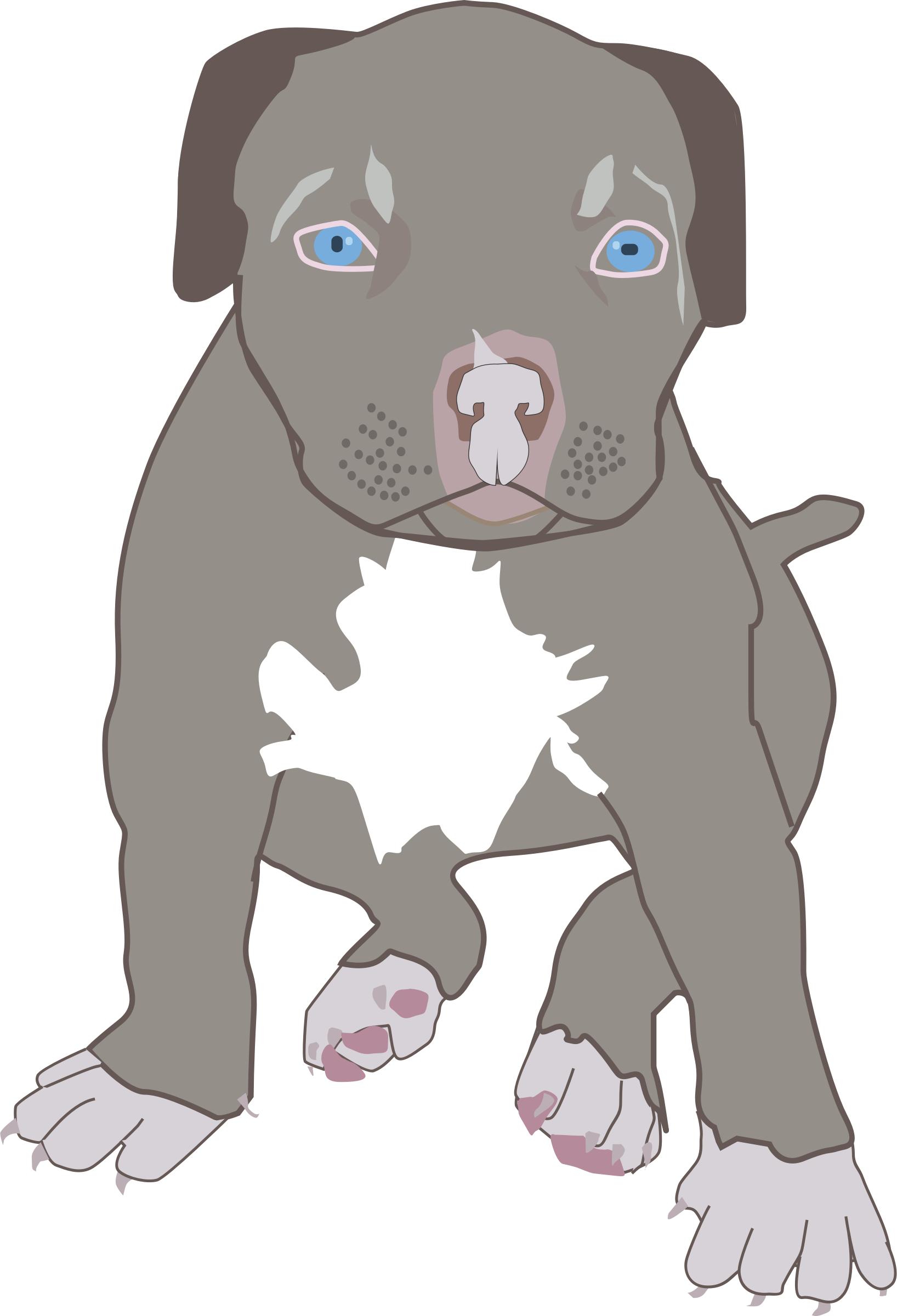 Pit Bull Puppy PNG icons