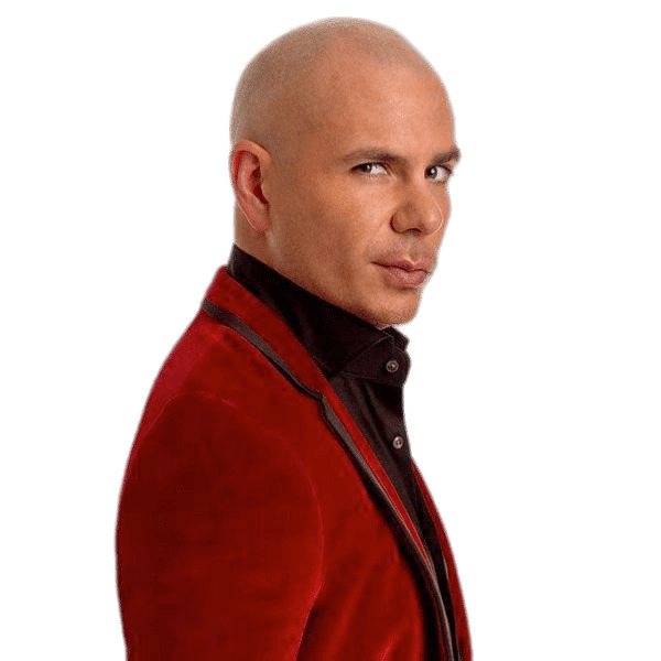 Pitbull Red Vest png icons
