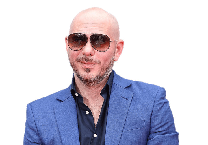 Pitbull With Beard png icons