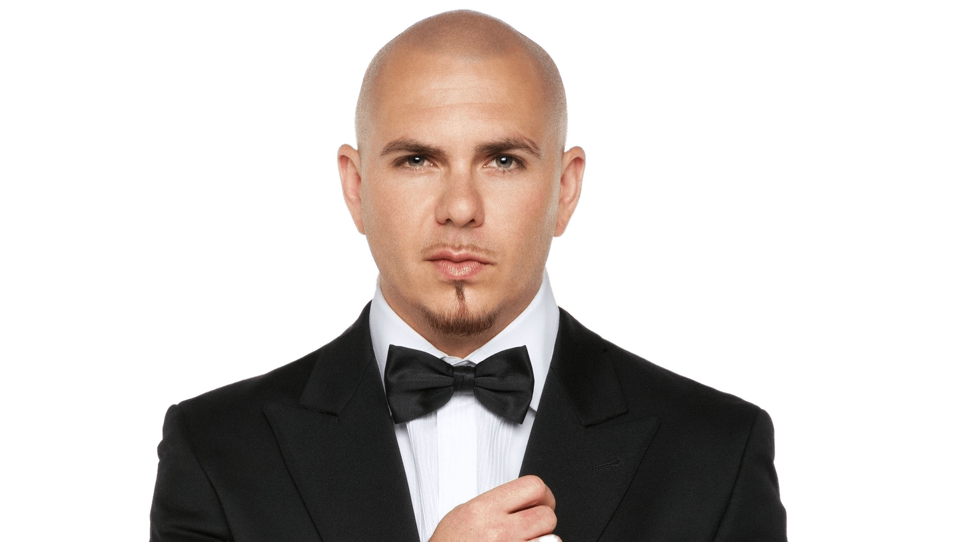 Pitbull With Bow Tie png