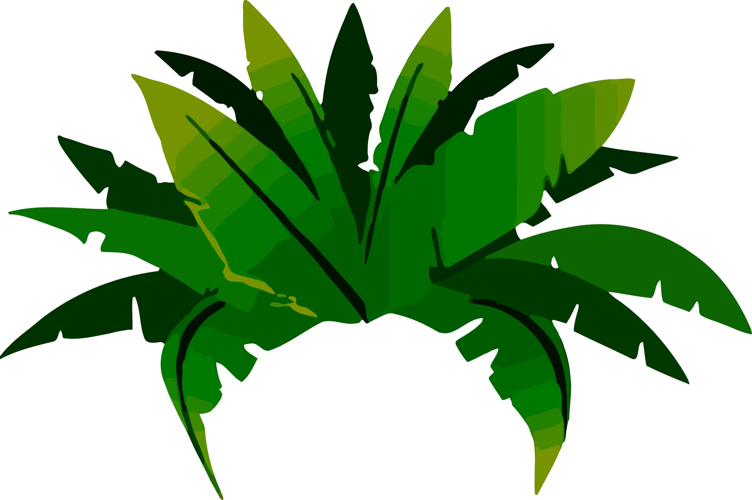 Plant 3 png