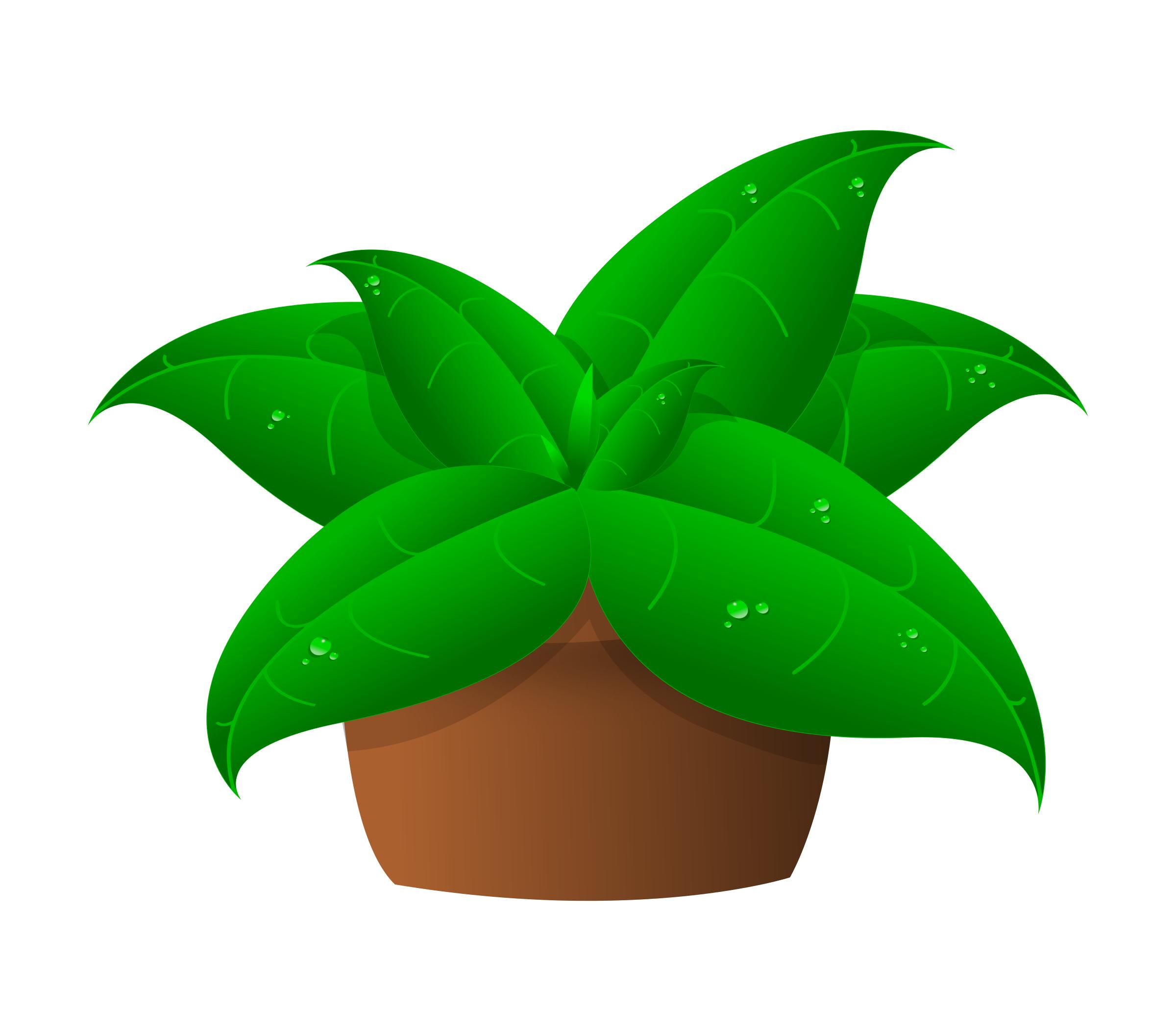 plants in pot png