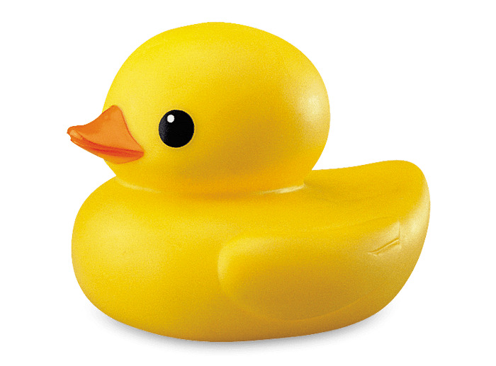 Plastic Duck png icons