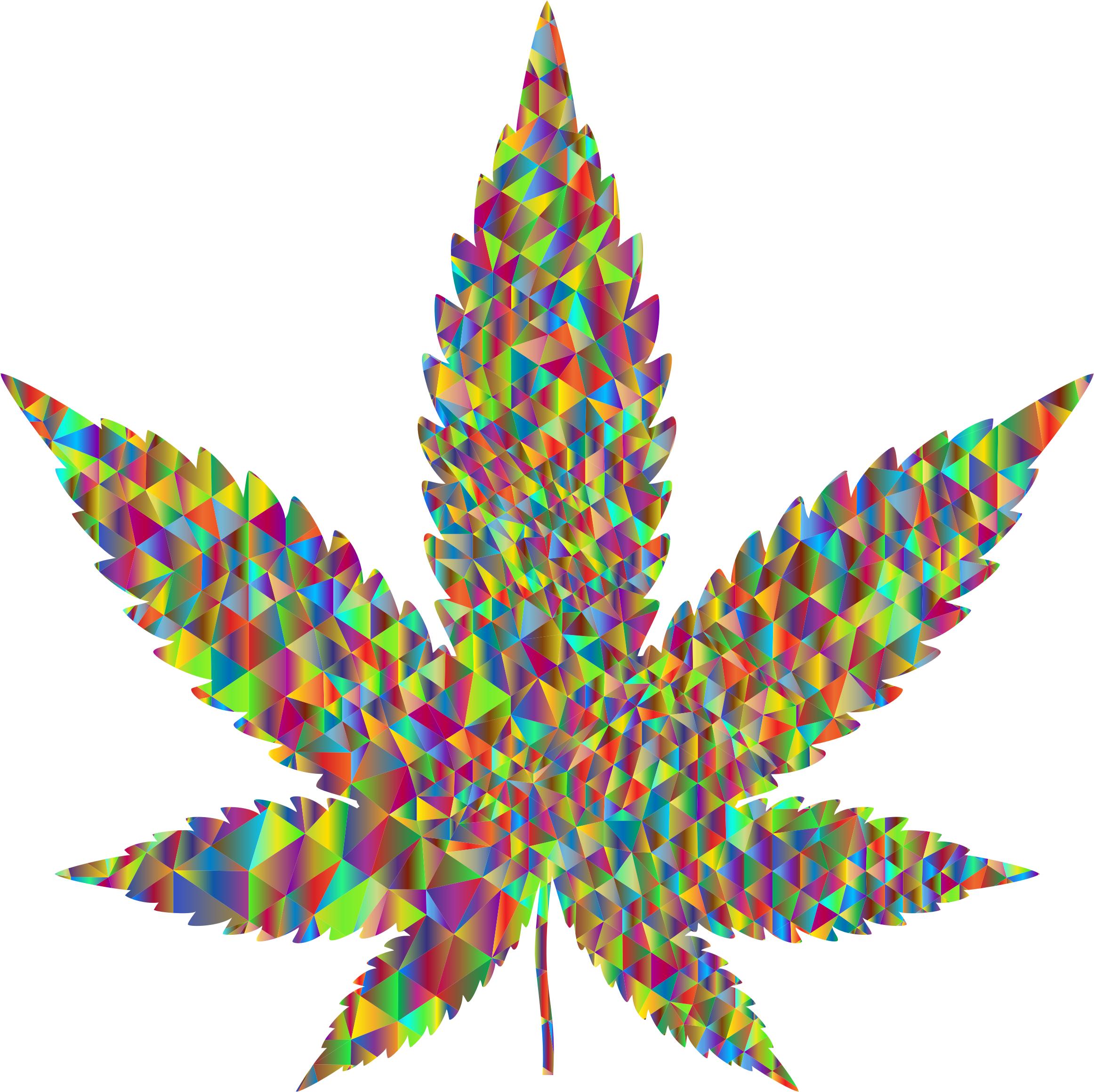 Polychromatic Low Poly Marijuana Leaf Silhouette png
