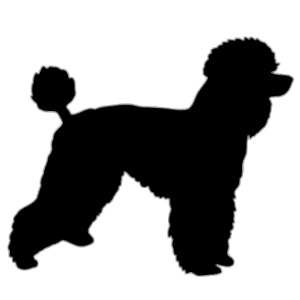 Poodle Silhouette icons