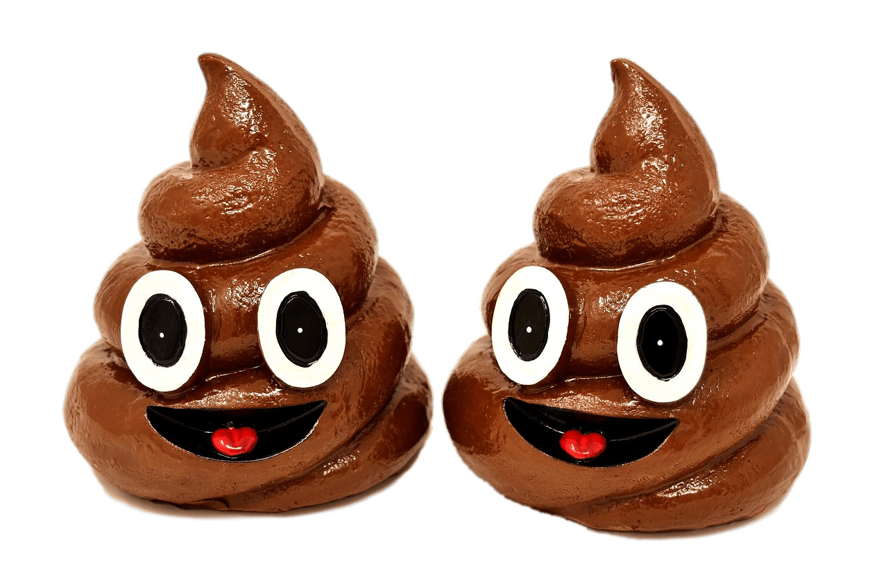 Poop Duo icons