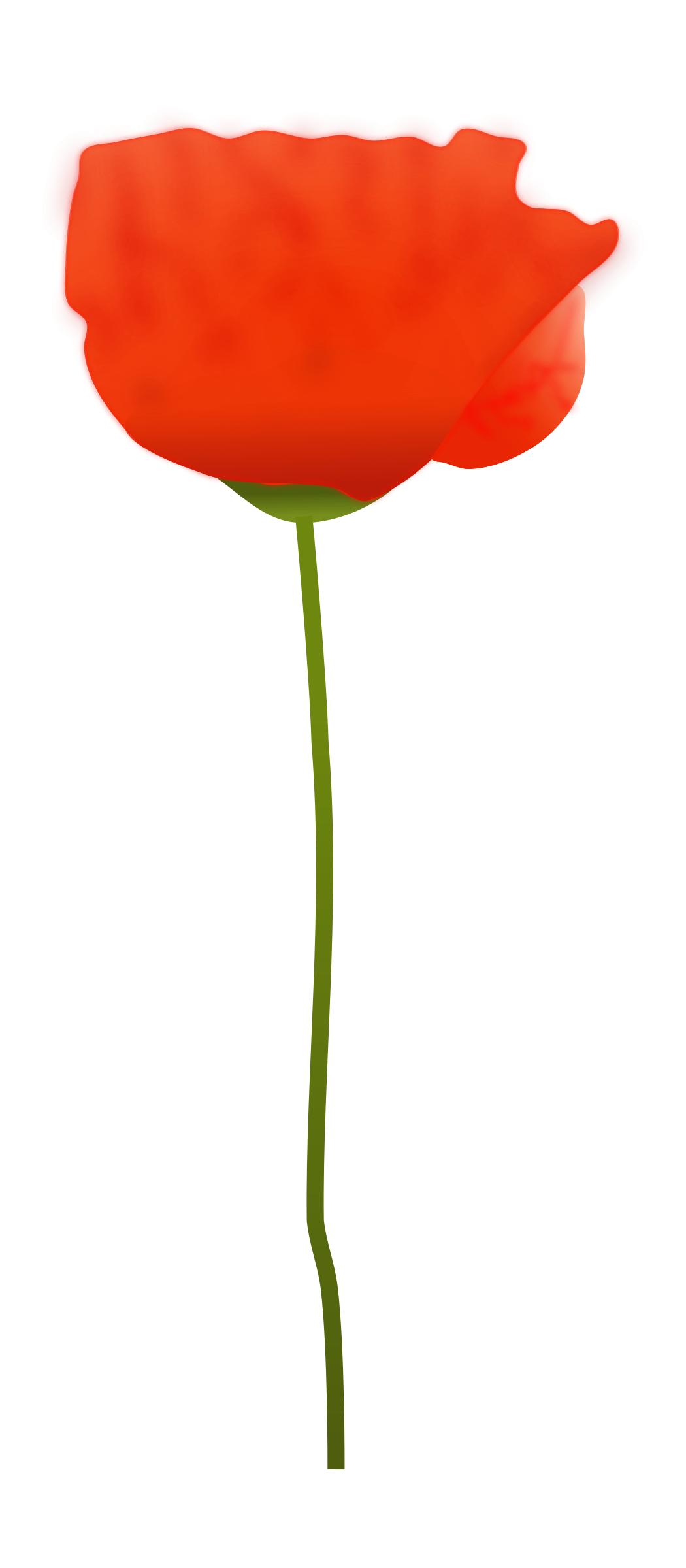 Poppy Flower PNG icons