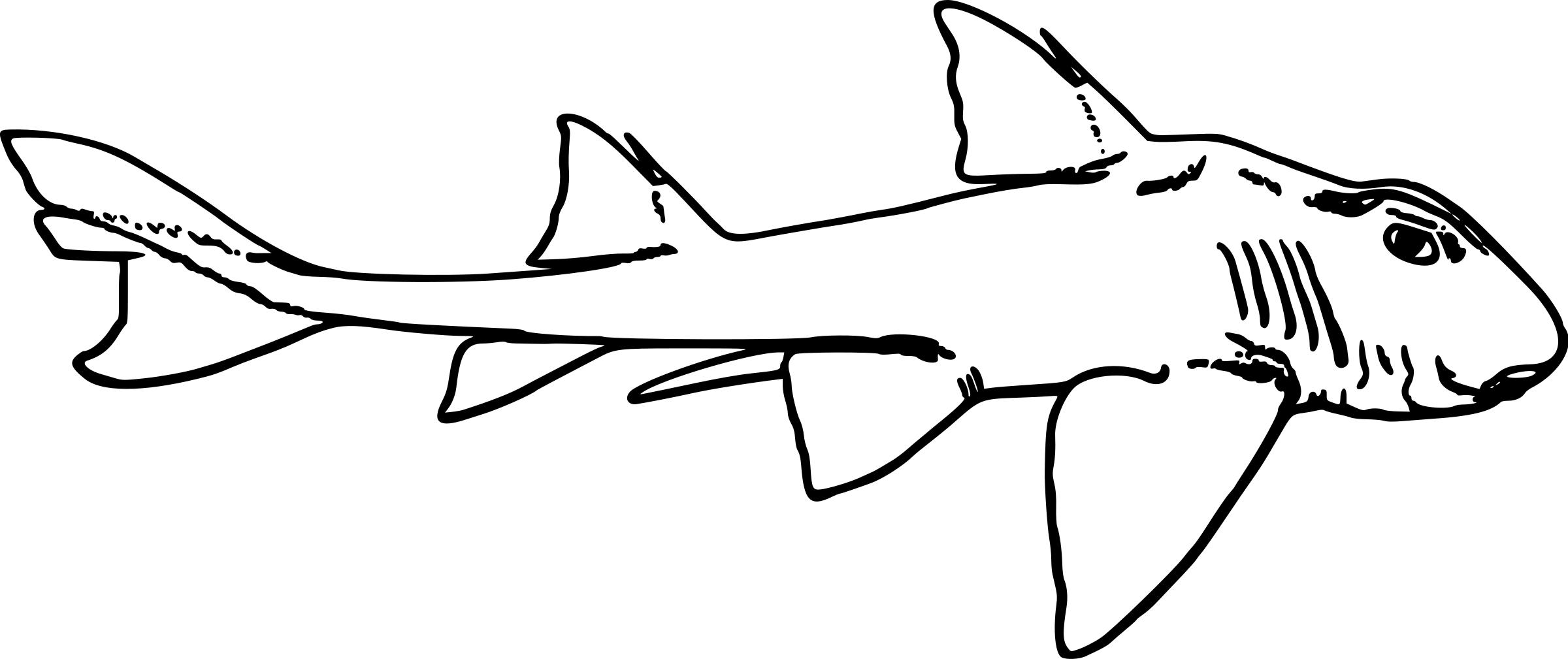 Port jackson shark icons