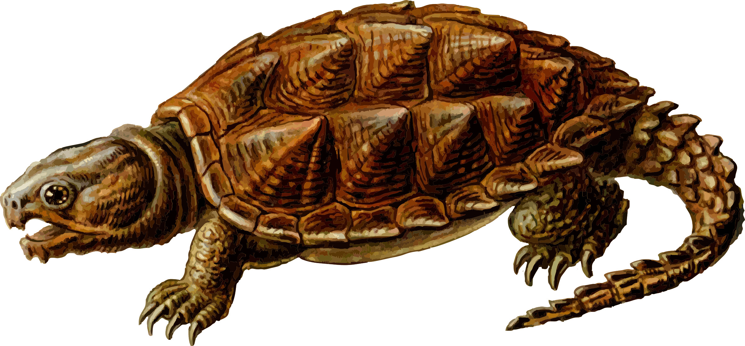 Prehistoric Turtle Clipart icons