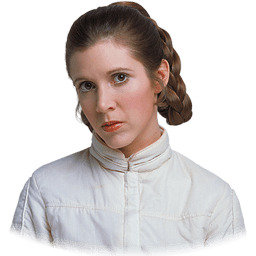 Princess Leia icons