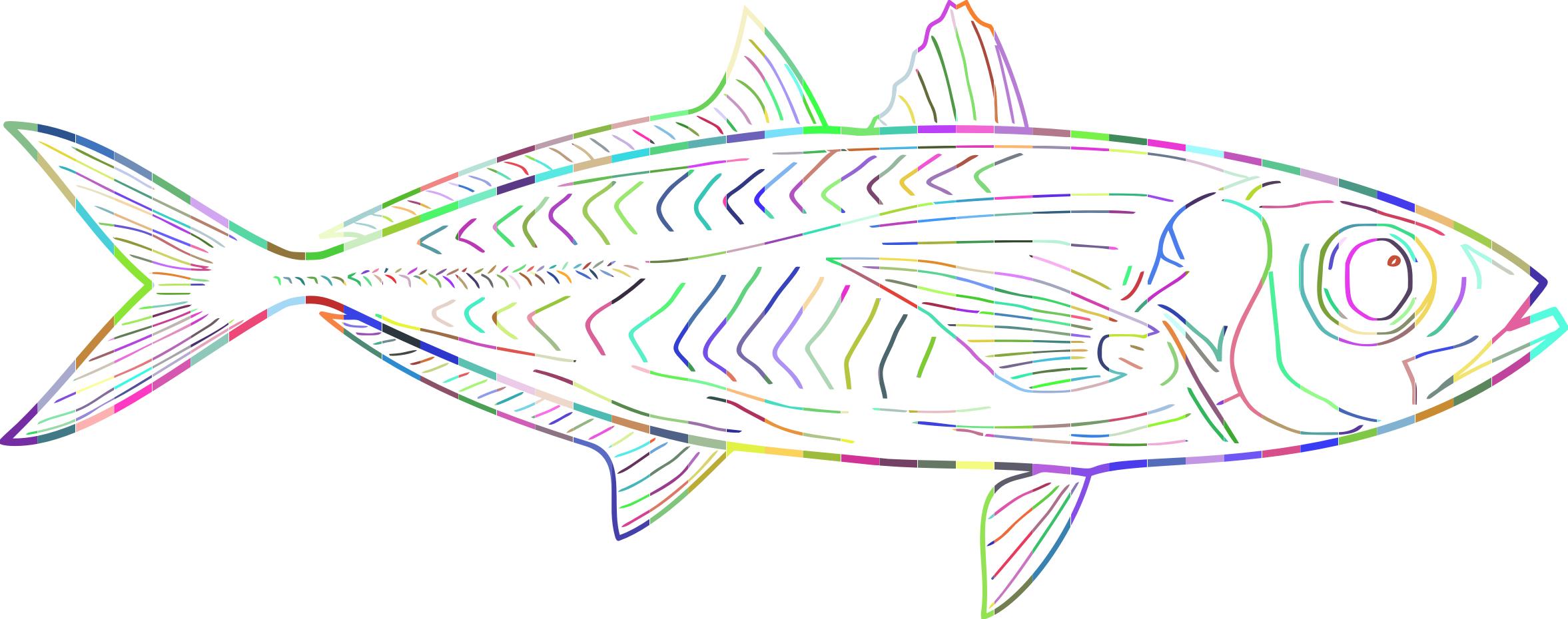 Prismatic Fish Line Art png