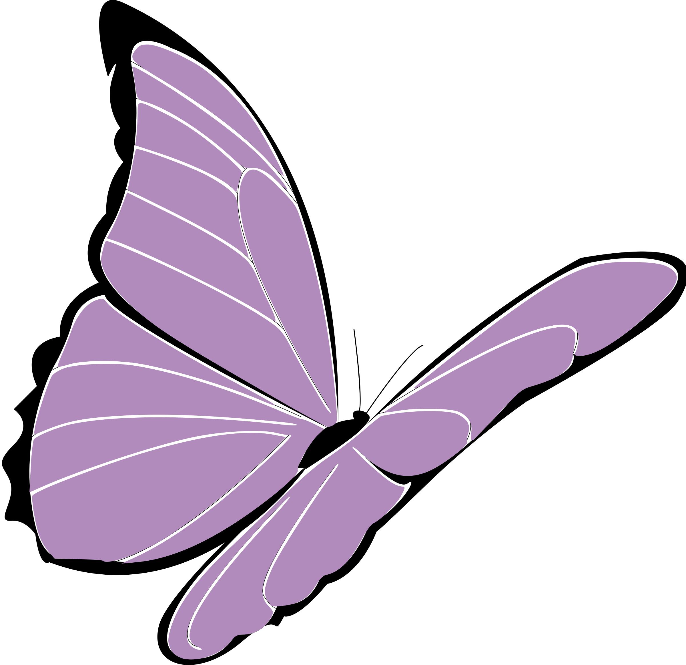 purple butterfly png