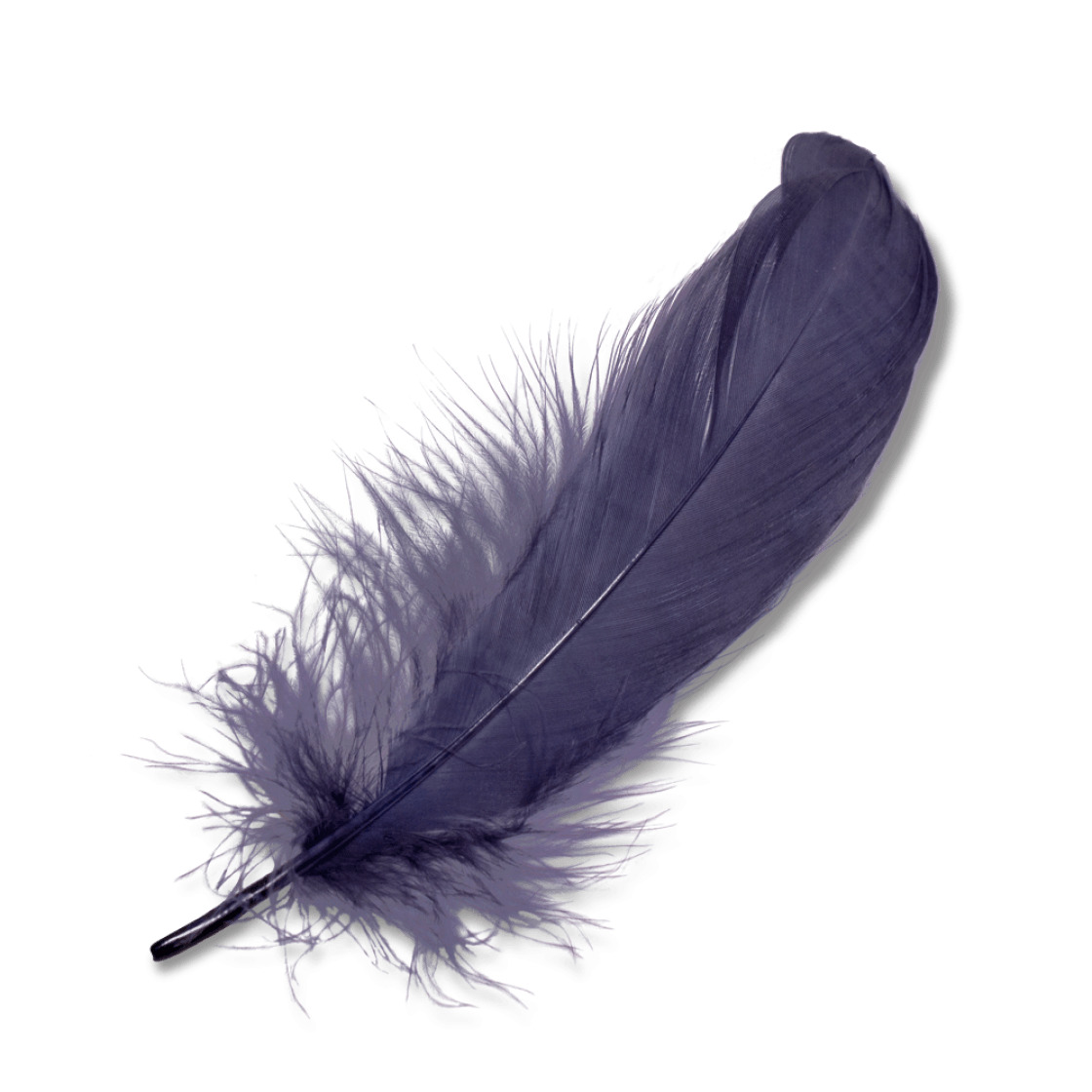 Purple Feather png icons