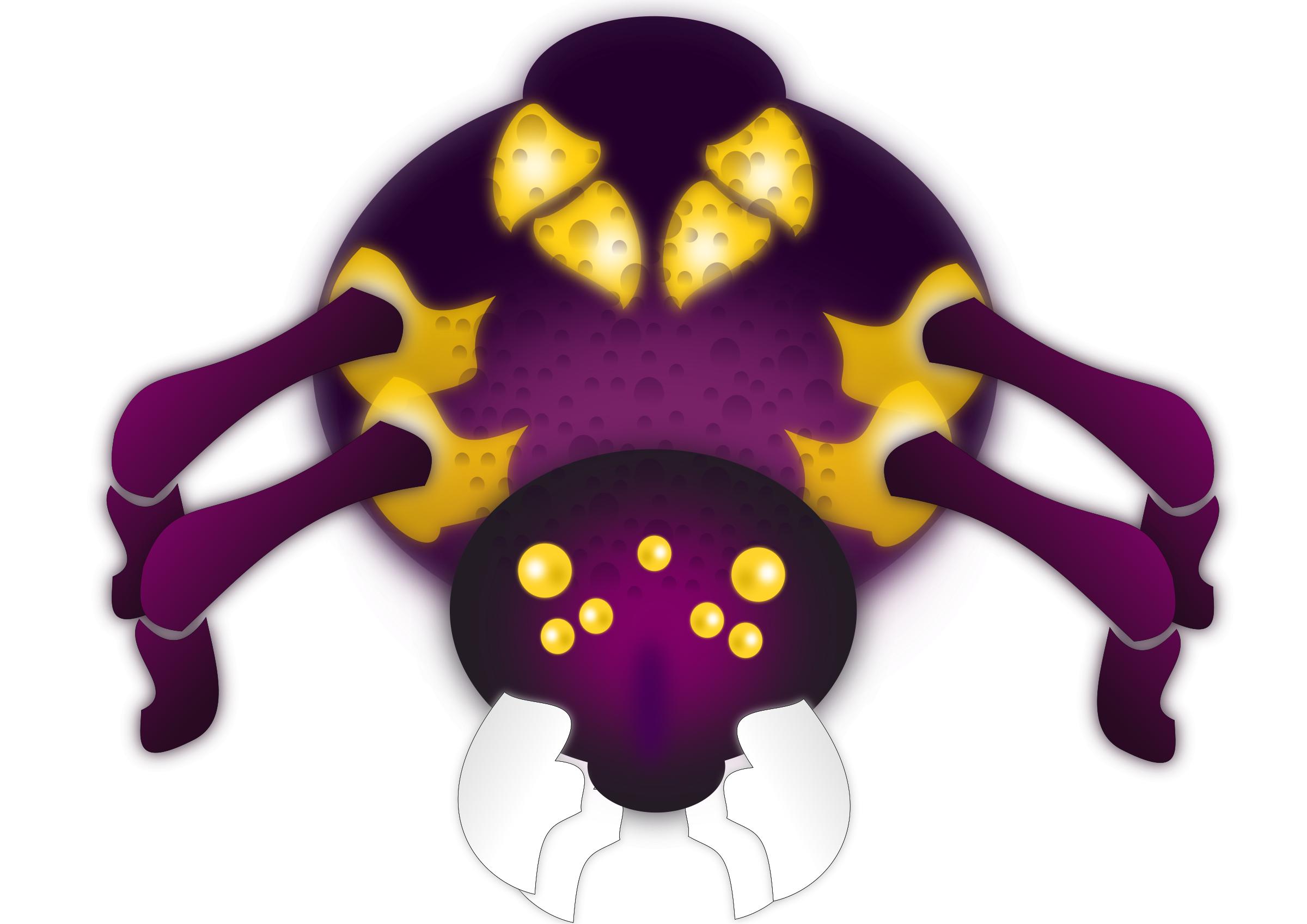 Purple spider PNG icons