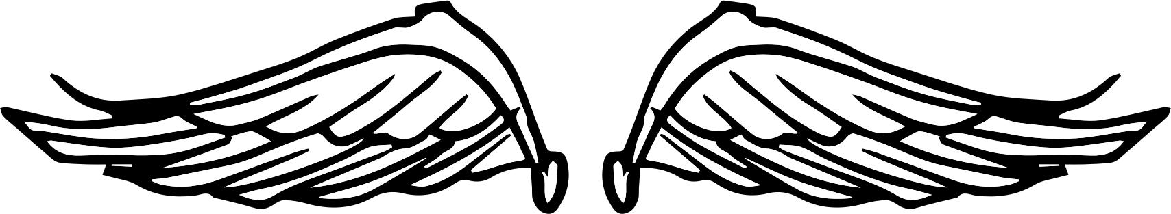 Raseone Wings Doodle PNG icons