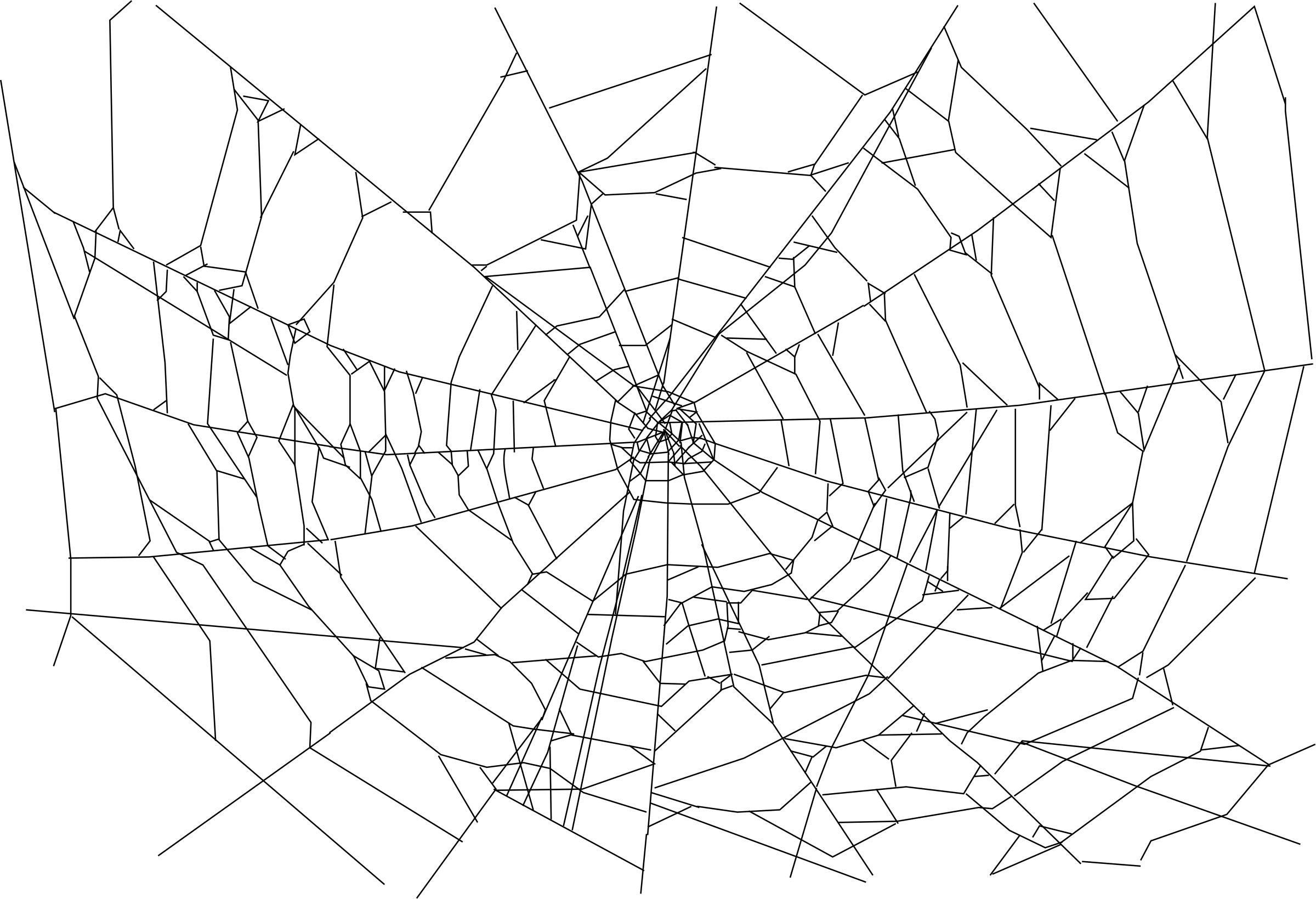 Realistic spider web png