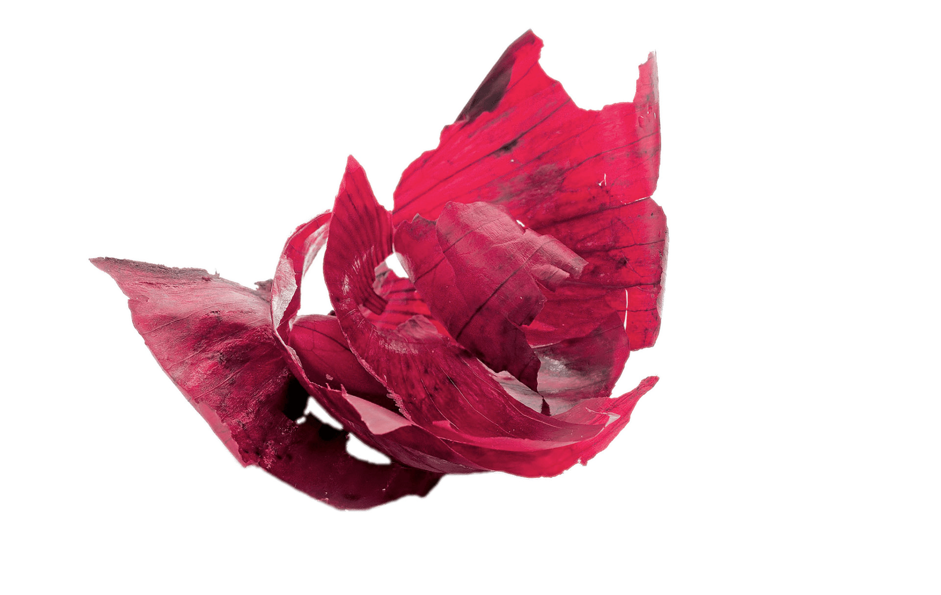 Red Onion Peels png