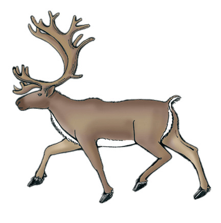 Reindeer (Caribou) Drawing icons