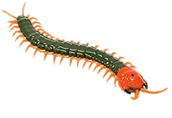 Remote Controlled Centipede png