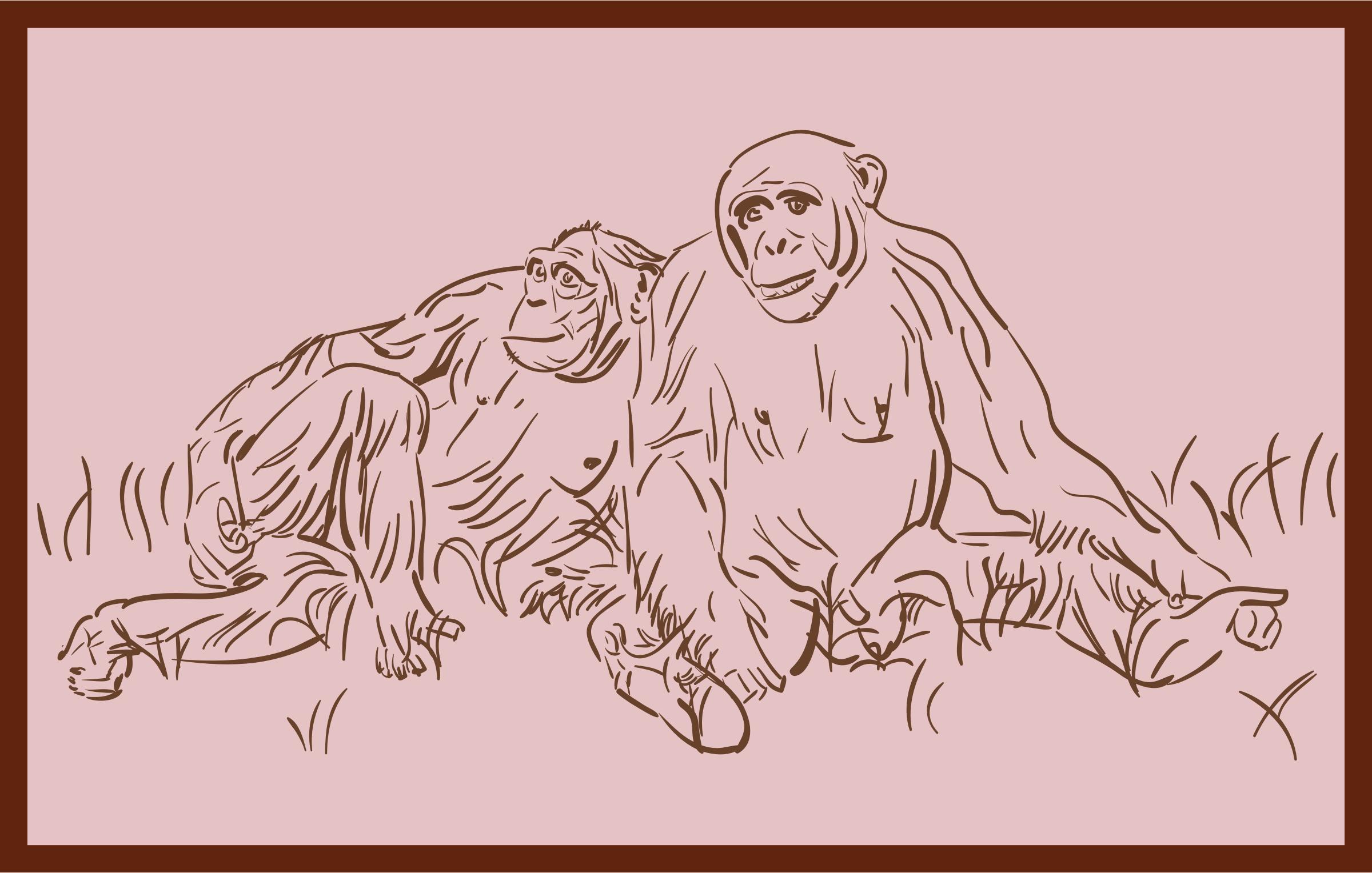 resting chimpanzee icons