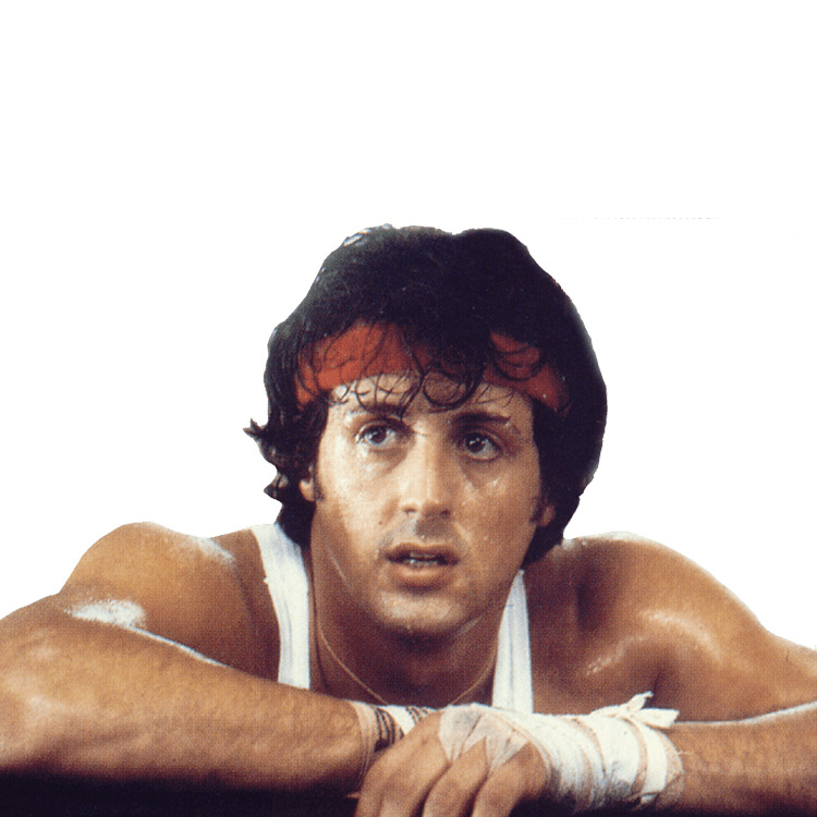 Rocky Sylvester Stallone icons