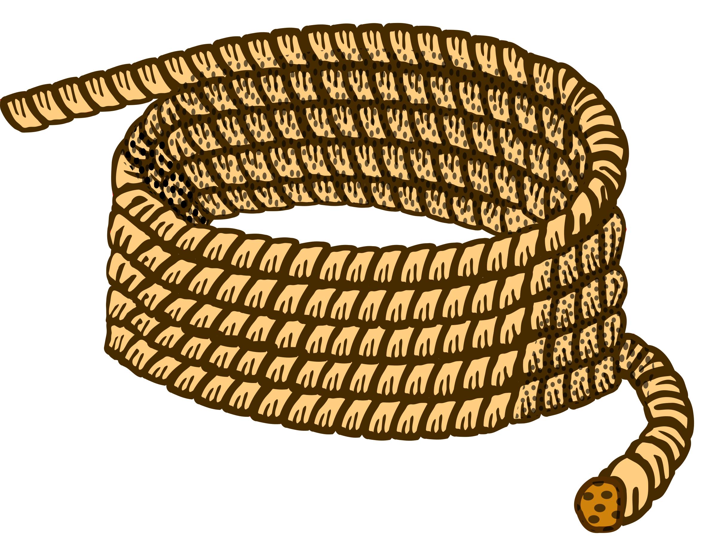 rope - coloured png