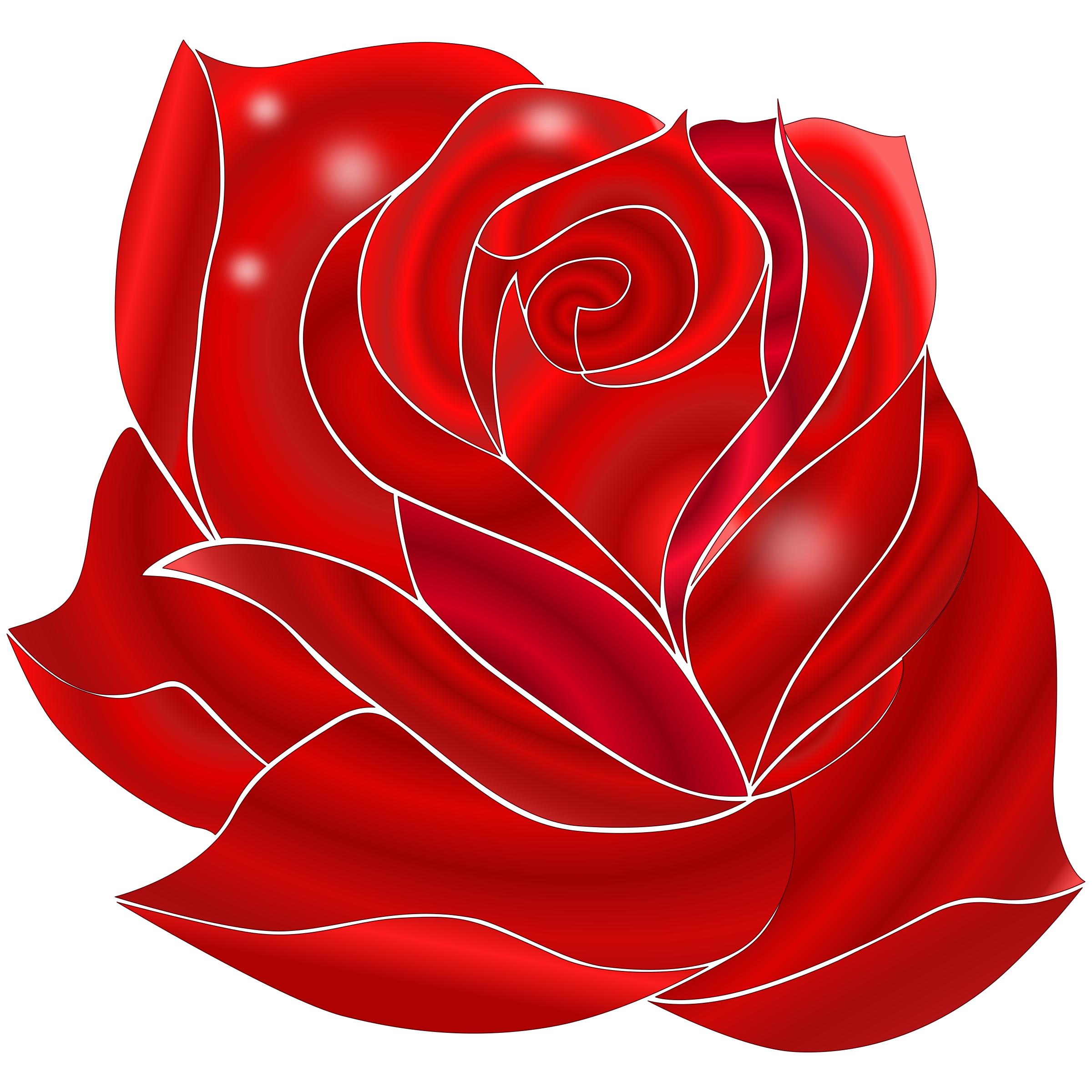 Rosa Rossa Icons Png Free Png And Icons Downloads