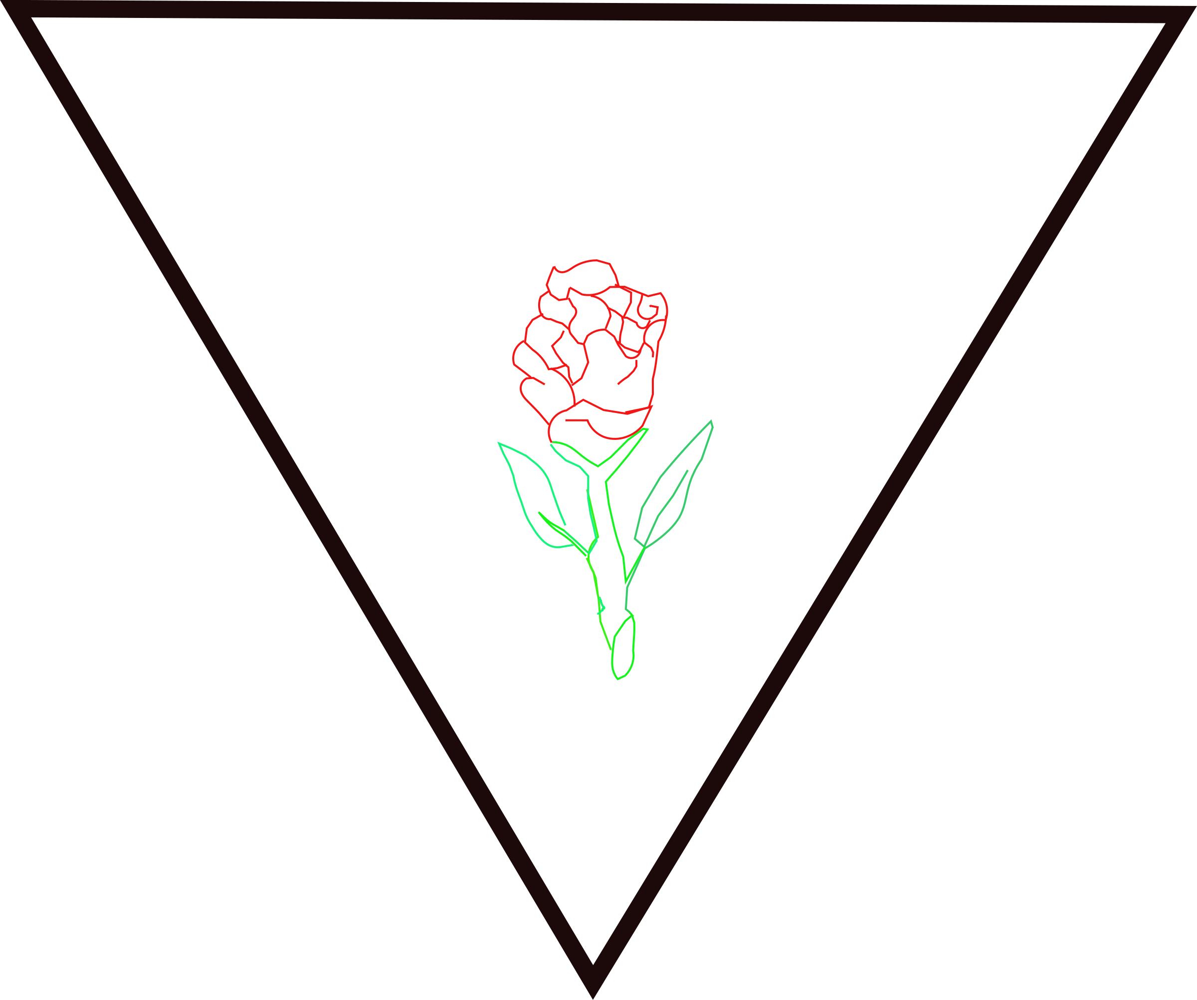 rosa y triangulo PNG icons