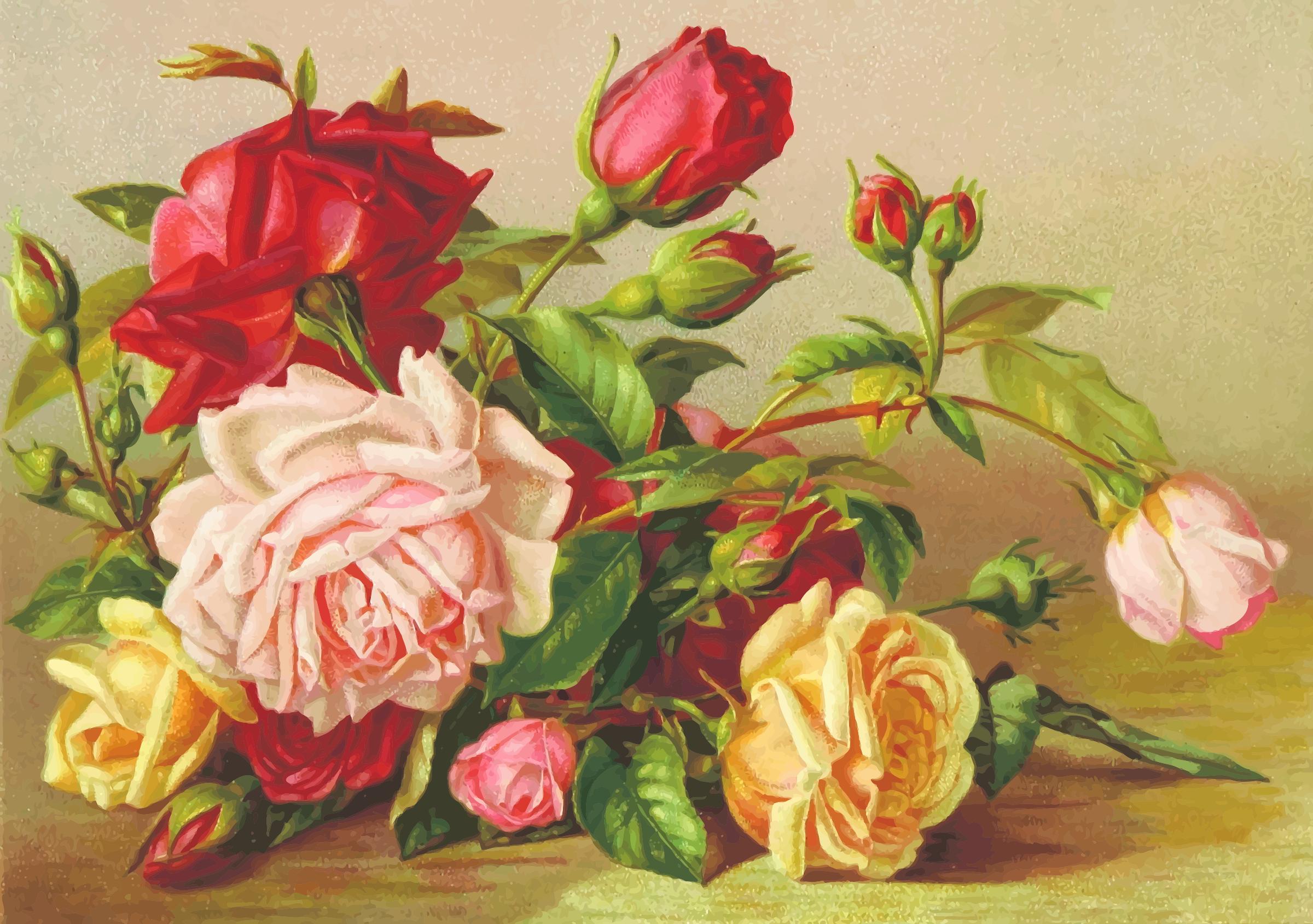 Roses (detailed) png