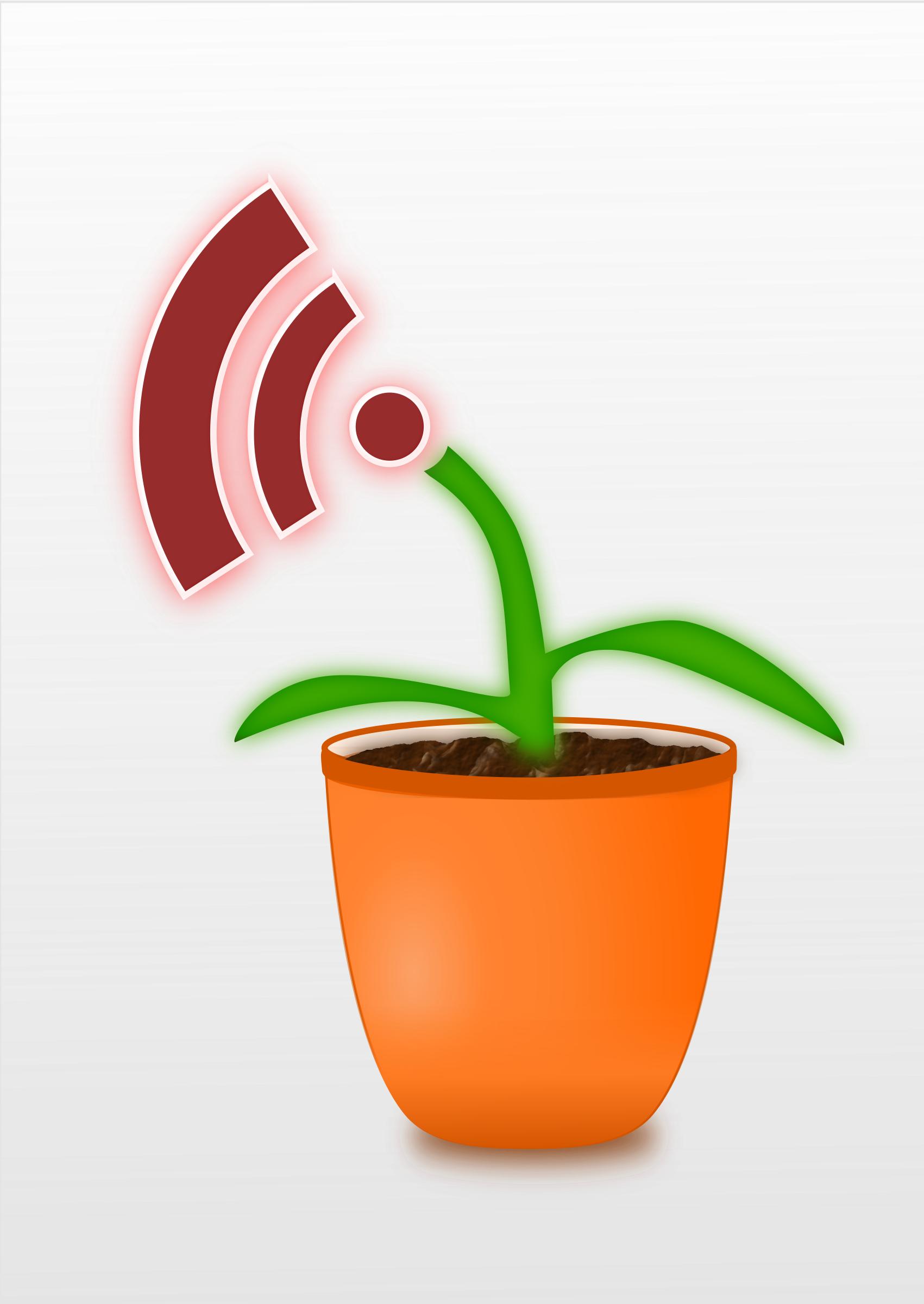 RSS flower png