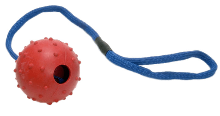 Rubber Ball on Rope For Dogs png icons
