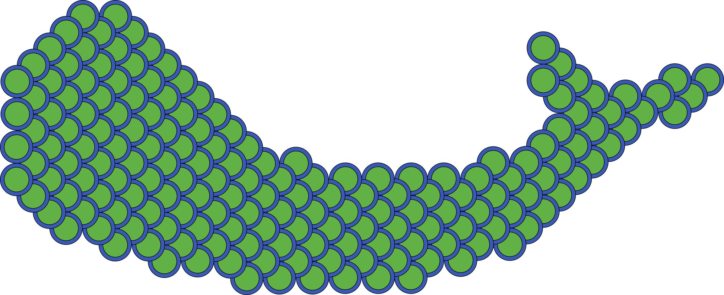 Scales flattened onto fish png