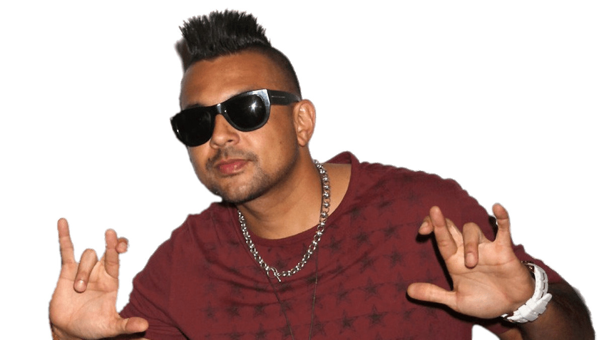 Sean Paul Silver Necklace png icons